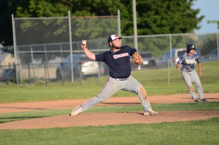 WildThings Top Post 33